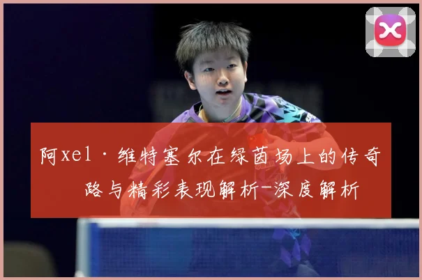 阿xel·维特塞尔在绿茵场上的传奇之路与精彩表现解析-深度解析