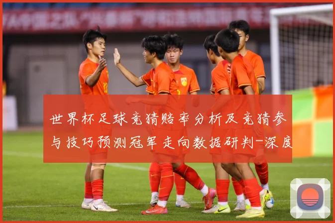 世界杯足球竞猜赔率分析及竞猜参与技巧预测冠军走向数据研判-深度解析