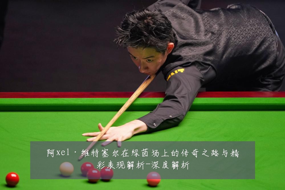 阿xel·维特塞尔在绿茵场上的传奇之路与精彩表现解析-深度解析